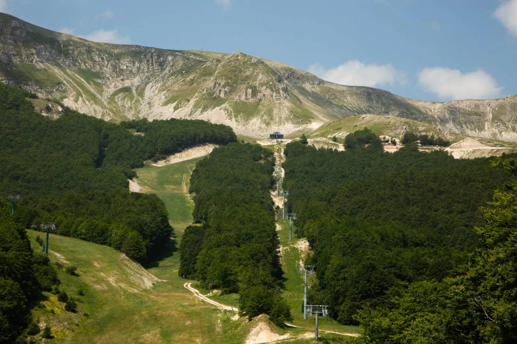 Monte Pizzalto in estate