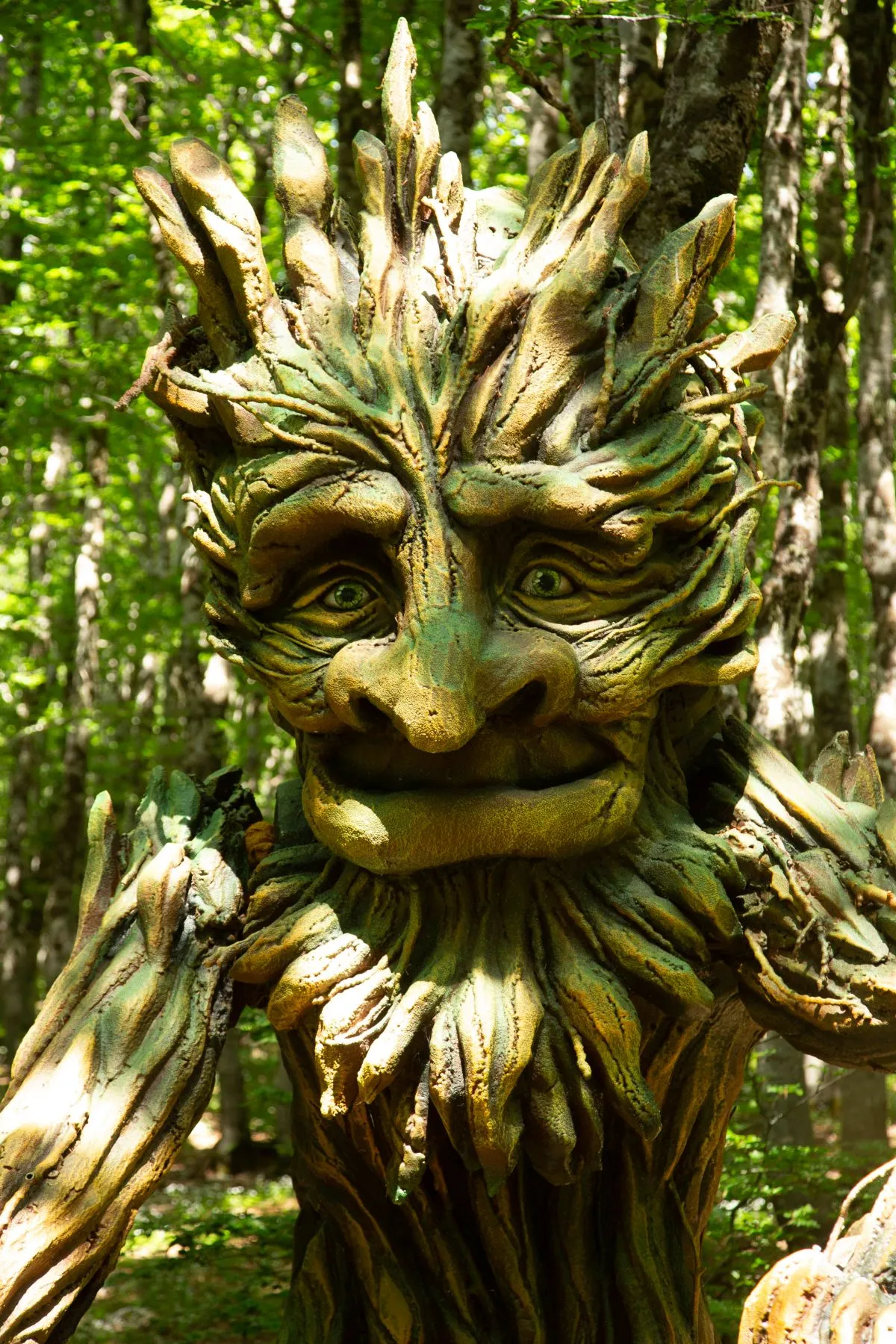 Bosco delle Meraviglie sull'Aremogna